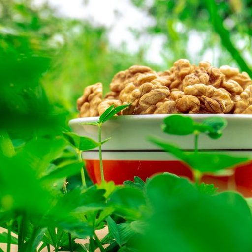 Walnuts
